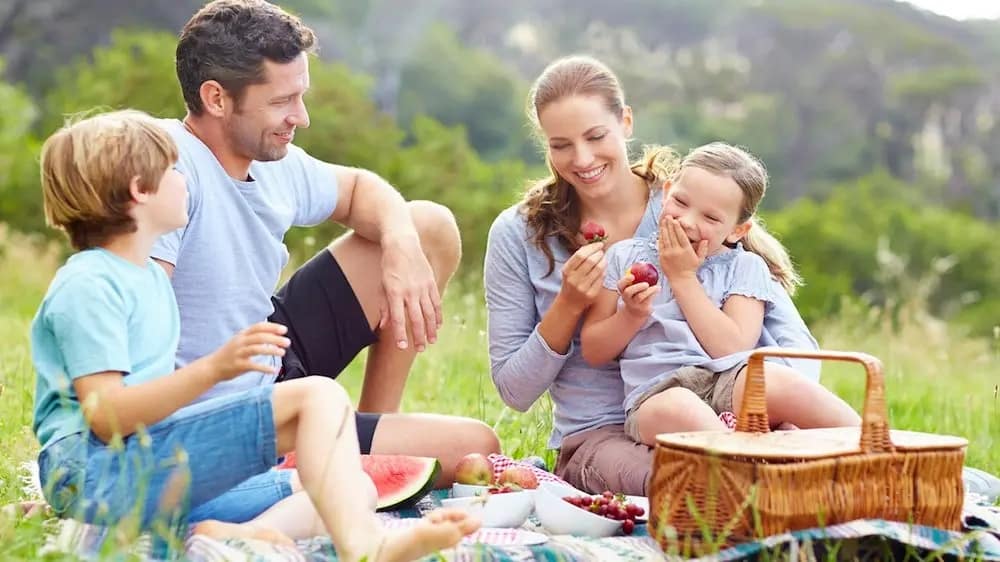 family picnic