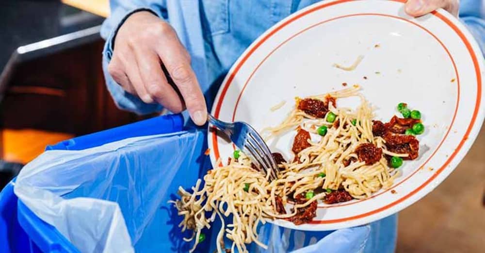 waste food