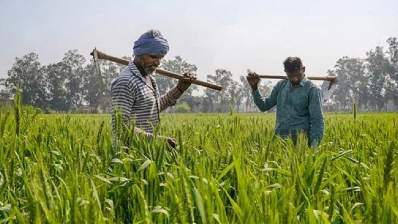 PM Kisaan