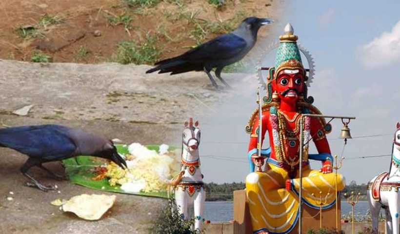 amavasai worship