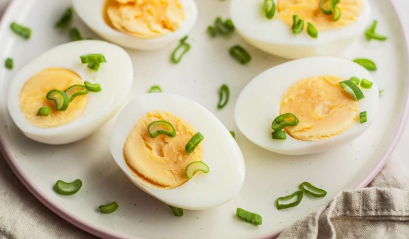 egg