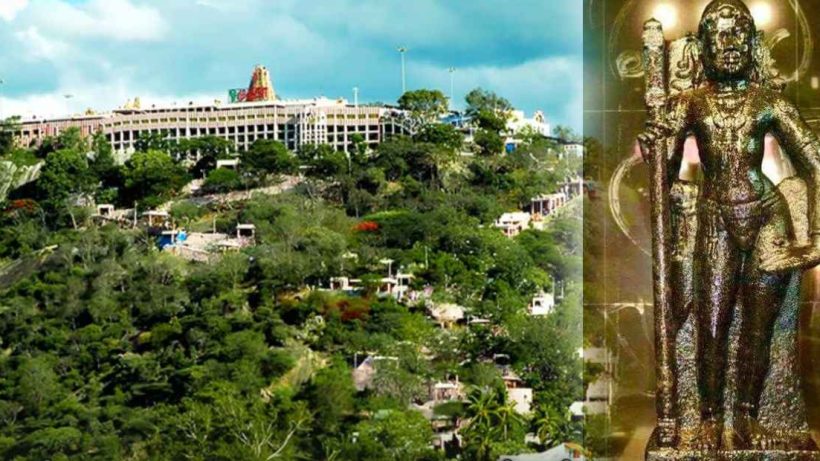 palani murugan