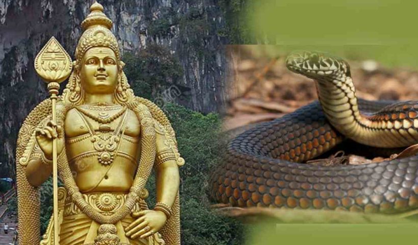 lord muruga, snake