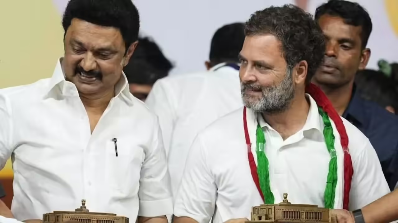rahul stalin